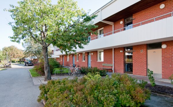 Kamomillgatan 28
